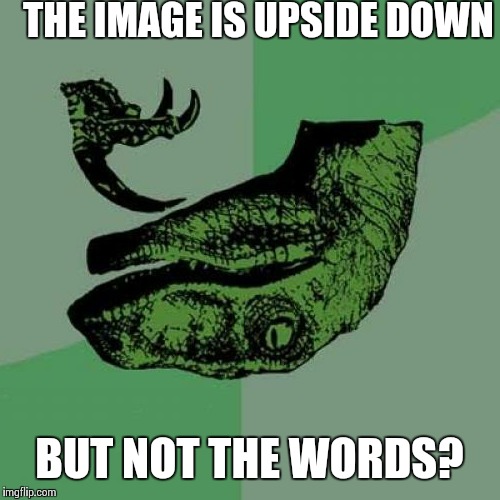 Philosoraptor Meme | THE IMAGE IS UPSIDE DOWN; BUT NOT THE WORDS? | image tagged in memes,philosoraptor | made w/ Imgflip meme maker