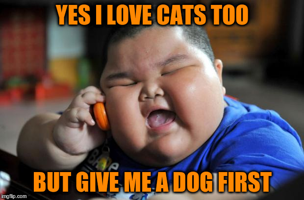 YES I LOVE CATS TOO BUT GIVE ME A DOG FIRST | made w/ Imgflip meme maker