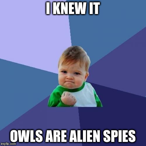 Success Kid Meme | I KNEW IT OWLS ARE ALIEN SPIES | image tagged in memes,success kid | made w/ Imgflip meme maker
