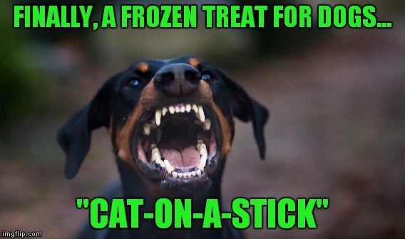 FINALLY, A FROZEN TREAT FOR DOGS... "CAT-ON-A-STICK" | made w/ Imgflip meme maker