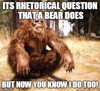 bigfoot | ITS RHETORICAL QUESTION THAT A BEAR DOES; BUT NOW YOU KNOW I DO TOO! | image tagged in bigfoot | made w/ Imgflip meme maker