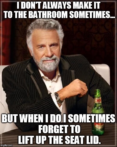 The Most Interesting Man In The World | I DON'T ALWAYS MAKE IT TO THE BATHROOM SOMETIMES... BUT WHEN I DO I SOMETIMES FORGET TO LIFT UP THE SEAT LID. | image tagged in memes,the most interesting man in the world | made w/ Imgflip meme maker