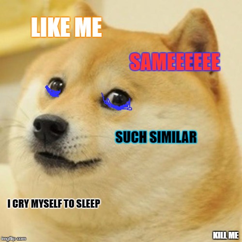 Doge Meme | LIKE ME SAMEEEEEE SUCH SIMILAR I CRY MYSELF TO SLEEP KILL ME | image tagged in memes,doge | made w/ Imgflip meme maker