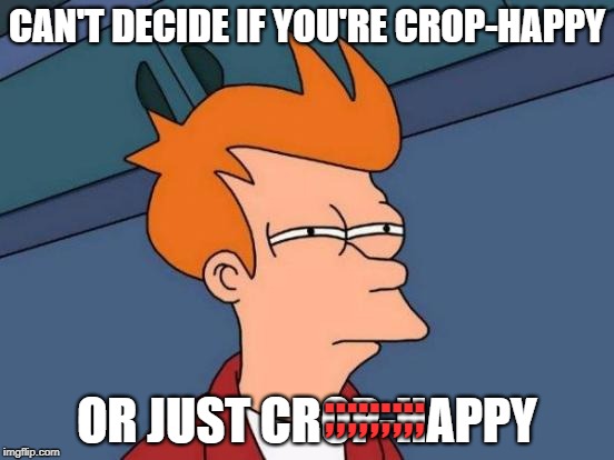 Futurama Fry Meme | CAN'T DECIDE IF YOU'RE CROP-HAPPY OR JUST CROP-HAPPY ;;;;;;;;; | image tagged in memes,futurama fry | made w/ Imgflip meme maker