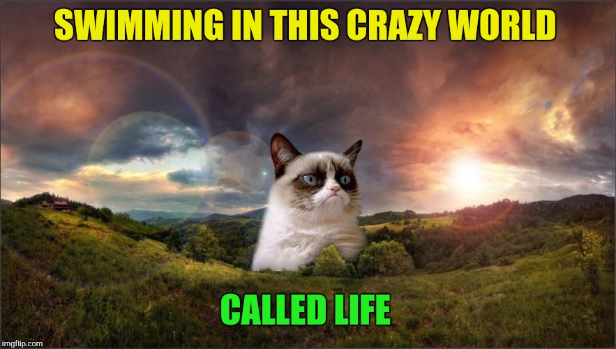 SWIMMING IN THIS CRAZY WORLD CALLED LIFE | made w/ Imgflip meme maker