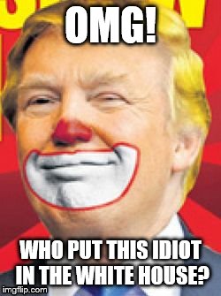 Donald Trump the Clown | OMG! WHO PUT THIS IDIOT IN THE WHITE HOUSE? | image tagged in donald trump the clown | made w/ Imgflip meme maker
