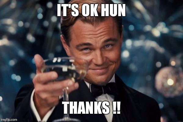 Leonardo Dicaprio Cheers Meme | IT'S OK HUN THANKS !! | image tagged in memes,leonardo dicaprio cheers | made w/ Imgflip meme maker
