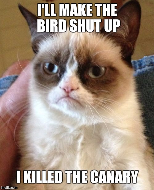 Grumpy Cat Meme | I'LL MAKE THE BIRD SHUT UP I KILLED THE CANARY | image tagged in memes,grumpy cat | made w/ Imgflip meme maker