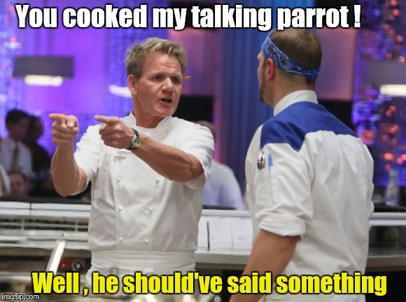Gordon Ramsay kitchen nightmares | You cooked my talking parrot ! Well , he should've said something | image tagged in gordon ramsay gtfo,old joke,bird,rest in peace | made w/ Imgflip meme maker