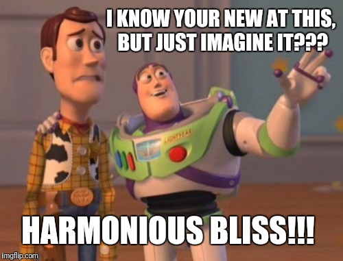 X, X Everywhere Meme | I KNOW YOUR NEW AT THIS, BUT JUST IMAGINE IT??? HARMONIOUS BLISS!!! | image tagged in memes,x x everywhere | made w/ Imgflip meme maker