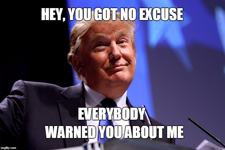 Donald Trump | HEY, YOU GOT NO EXCUSE; EVERYBODY; WARNED YOU ABOUT ME | image tagged in donald trump | made w/ Imgflip meme maker