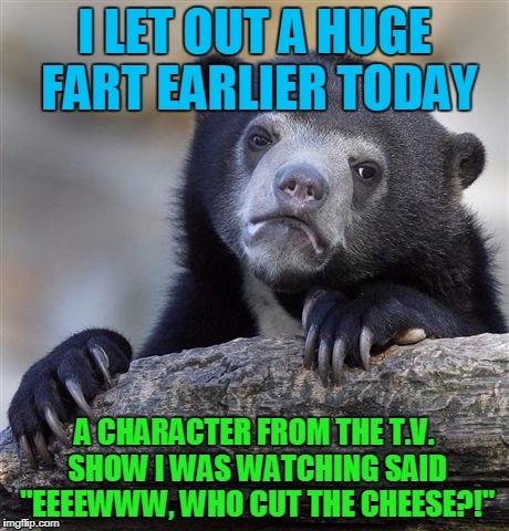 True story! :\ | I LET OUT A HUGE FART EARLIER TODAY; A CHARACTER FROM THE T.V. SHOW I WAS WATCHING SAID "EEEEWWW, WHO CUT THE CHEESE?!" | image tagged in memes,confession bear | made w/ Imgflip meme maker