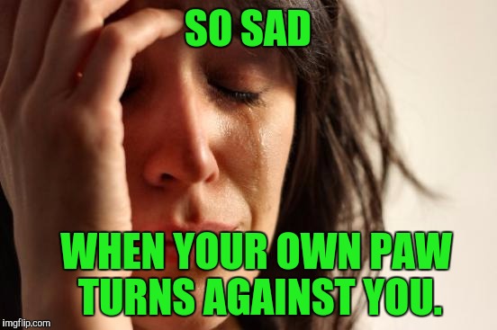 First World Problems Meme | SO SAD WHEN YOUR OWN PAW TURNS AGAINST YOU. | image tagged in memes,first world problems | made w/ Imgflip meme maker