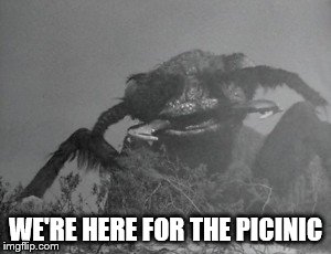 WE'RE HERE FOR THE PICINIC | made w/ Imgflip meme maker