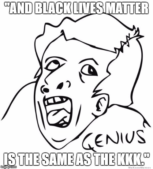 "AND BLACK LIVES MATTER; IS THE SAME AS THE KKK." | image tagged in blm | made w/ Imgflip meme maker