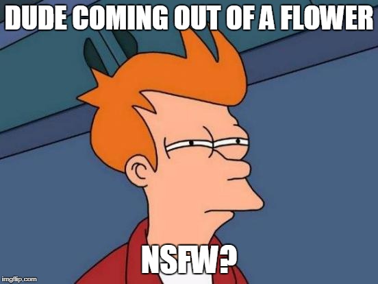 Futurama Fry Meme | DUDE COMING OUT OF A FLOWER NSFW? | image tagged in memes,futurama fry | made w/ Imgflip meme maker