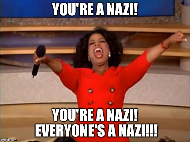 Oprah You Get A Meme | YOU'RE A NAZI! YOU'RE A NAZI! EVERYONE'S A NAZI!!! | image tagged in memes,oprah you get a | made w/ Imgflip meme maker