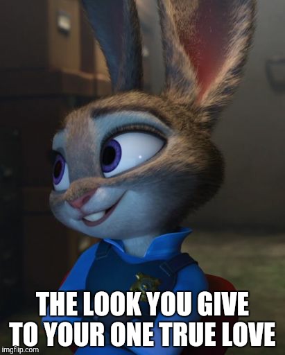 Judy Hopps in love | THE LOOK YOU GIVE TO YOUR ONE TRUE LOVE | image tagged in judy hopps smile,zootopia,judy hopps,funny,memes | made w/ Imgflip meme maker