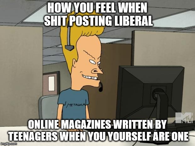 frustration | HOW YOU FEEL WHEN SHIT POSTING LIBERAL; ONLINE MAGAZINES WRITTEN BY TEENAGERS WHEN YOU YOURSELF ARE ONE | image tagged in frustration | made w/ Imgflip meme maker