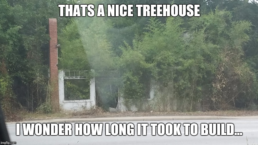 The treehouse | THATS A NICE TREEHOUSE; I WONDER HOW LONG IT TOOK TO BUILD... | image tagged in thug life,tree,unwanted house guest | made w/ Imgflip meme maker