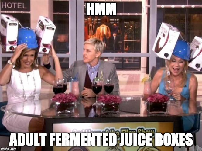 Ellen reads today's promotional product | HMM; ADULT FERMENTED JUICE BOXES | image tagged in ellen degeneres,drinking wine,drunk,women be trippin',funny meme | made w/ Imgflip meme maker