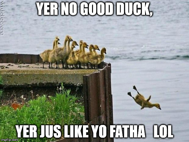 baby ducks | YER NO GOOD DUCK, YER JUS LIKE YO FATHA   LOL | image tagged in baby ducks | made w/ Imgflip meme maker