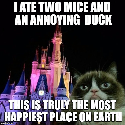 Grumpy cat Disney  | I ATE TWO MICE AND AN ANNOYING  DUCK; THIS IS TRULY THE MOST HAPPIEST PLACE ON EARTH | image tagged in grumpy cat disney,memes | made w/ Imgflip meme maker