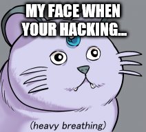 MY FACE WHEN YOUR HACKING... | made w/ Imgflip meme maker