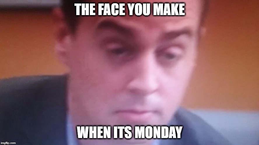 THE FACE YOU MAKE; WHEN ITS MONDAY | image tagged in mcgee monday | made w/ Imgflip meme maker