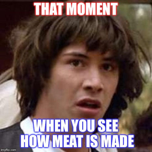 Conspiracy Keanu Meme | THAT MOMENT; WHEN YOU SEE HOW MEAT IS MADE | image tagged in memes,conspiracy keanu | made w/ Imgflip meme maker