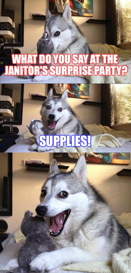 Bad Pun Dog | WHAT DO YOU SAY AT THE JANITOR'S SURPRISE PARTY? SUPPLIES! | image tagged in memes,bad pun dog | made w/ Imgflip meme maker