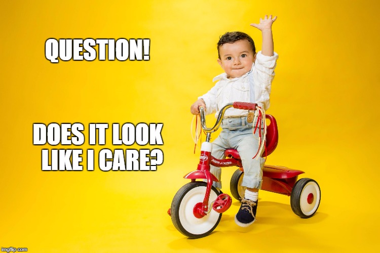 QUESTION! DOES IT LOOK 
LIKE I CARE? | image tagged in i has a question | made w/ Imgflip meme maker