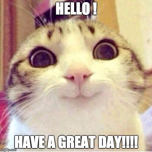 Happy cat | HELLO
! HAVE A GREAT DAY!!!! | image tagged in happy cat | made w/ Imgflip meme maker