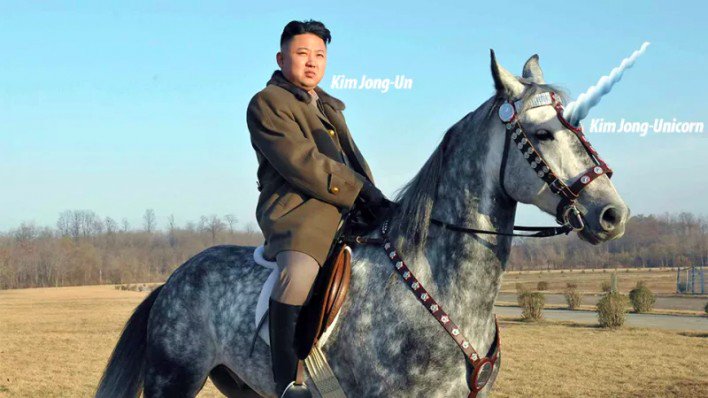 Unicorn Kim Blank Meme Template