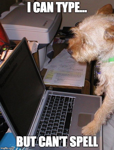 I can type..but can't spell | I CAN TYPE... BUT CAN'T SPELL | image tagged in funny dogs | made w/ Imgflip meme maker