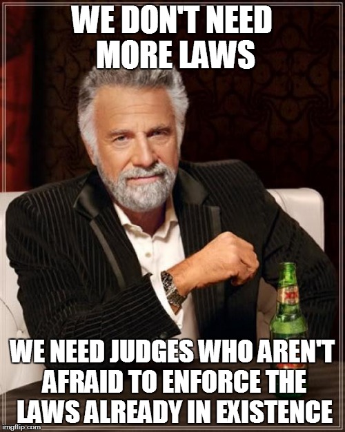 The Most Interesting Man In The World Meme | WE DON'T NEED MORE LAWS WE NEED JUDGES WHO AREN'T AFRAID TO ENFORCE THE LAWS ALREADY IN EXISTENCE | image tagged in memes,the most interesting man in the world | made w/ Imgflip meme maker