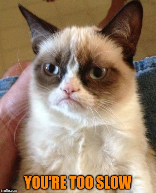 Grumpy Cat Meme | YOU'RE TOO SLOW | image tagged in memes,grumpy cat | made w/ Imgflip meme maker