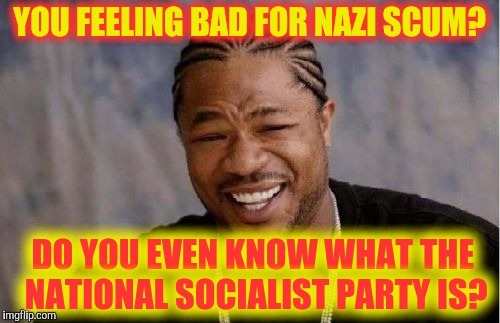 Yo Dawg Heard You Meme | YOU FEELING BAD FOR NAZI SCUM? DO YOU EVEN KNOW WHAT THE  NATIONAL SOCIALIST PARTY IS? | image tagged in memes,yo dawg heard you | made w/ Imgflip meme maker