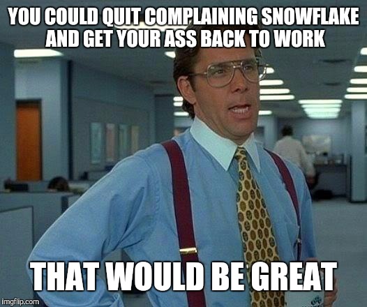 That Would Be Great Meme | YOU COULD QUIT COMPLAINING SNOWFLAKE AND GET YOUR ASS BACK TO WORK THAT WOULD BE GREAT | image tagged in memes,that would be great | made w/ Imgflip meme maker