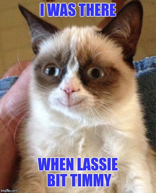 Grumpy Cat Happy | I WAS THERE; WHEN LASSIE BIT TIMMY | image tagged in memes,grumpy cat happy,grumpy cat | made w/ Imgflip meme maker