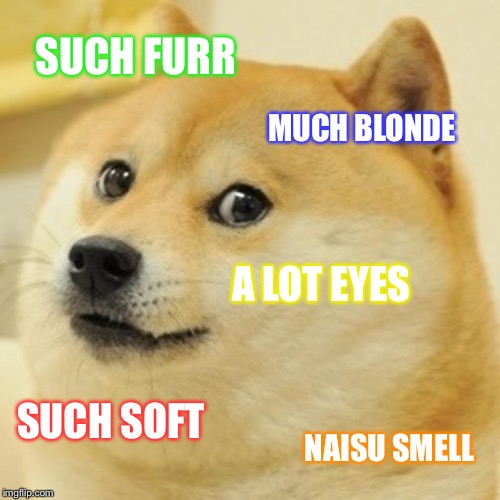 Doge Meme | SUCH FURR; MUCH BLONDE; A LOT EYES; SUCH SOFT; NAISU SMELL | image tagged in memes,doge | made w/ Imgflip meme maker
