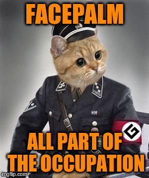 FACEPALM ALL PART OF THE OCCUPATION | made w/ Imgflip meme maker