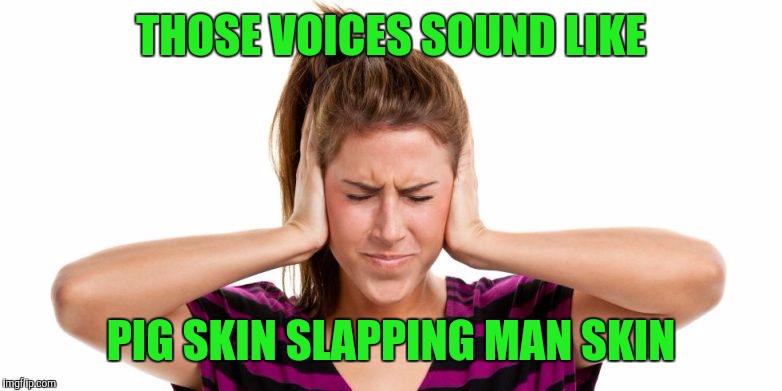 Memes | THOSE VOICES SOUND LIKE PIG SKIN SLAPPING MAN SKIN | image tagged in memes | made w/ Imgflip meme maker