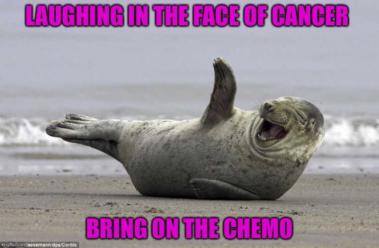 Laughing Seal | LAUGHING IN THE FACE OF CANCER; BRING ON THE CHEMO | image tagged in laughing seal | made w/ Imgflip meme maker