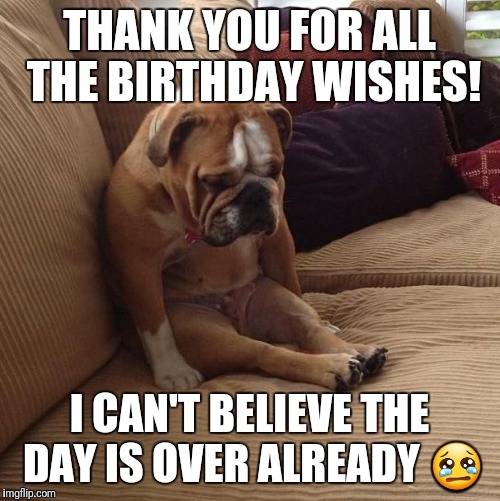 bulldogsad | THANK YOU FOR ALL THE BIRTHDAY WISHES! I CAN'T BELIEVE THE DAY IS OVER ALREADY 😢 | image tagged in bulldogsad | made w/ Imgflip meme maker