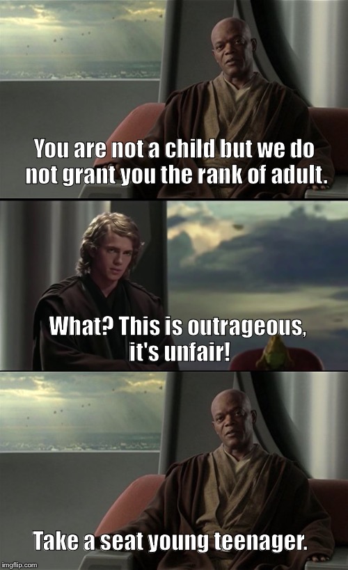 This is outrageous! | You are not a child but we do not grant you the rank of adult. What? This is outrageous, it's unfair! Take a seat young teenager. | image tagged in anakin skywalker,take a seat cat,star wars,funny,memes,children | made w/ Imgflip meme maker