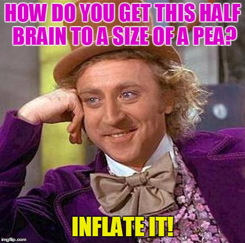 Creepy Condescending Wonka Meme | HOW DO YOU GET THIS HALF BRAIN TO A SIZE OF A PEA? INFLATE IT! | image tagged in memes,creepy condescending wonka | made w/ Imgflip meme maker