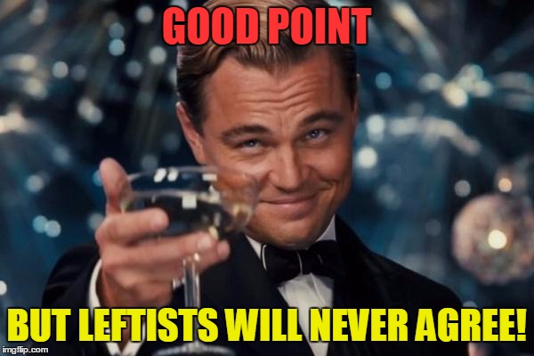 Leonardo Dicaprio Cheers Meme | GOOD POINT BUT LEFTISTS WILL NEVER AGREE! | image tagged in memes,leonardo dicaprio cheers | made w/ Imgflip meme maker