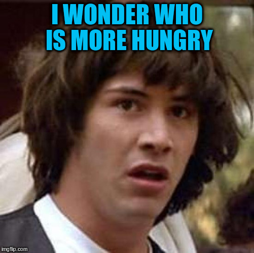 Conspiracy Keanu Meme | I WONDER WHO IS MORE HUNGRY | image tagged in memes,conspiracy keanu | made w/ Imgflip meme maker