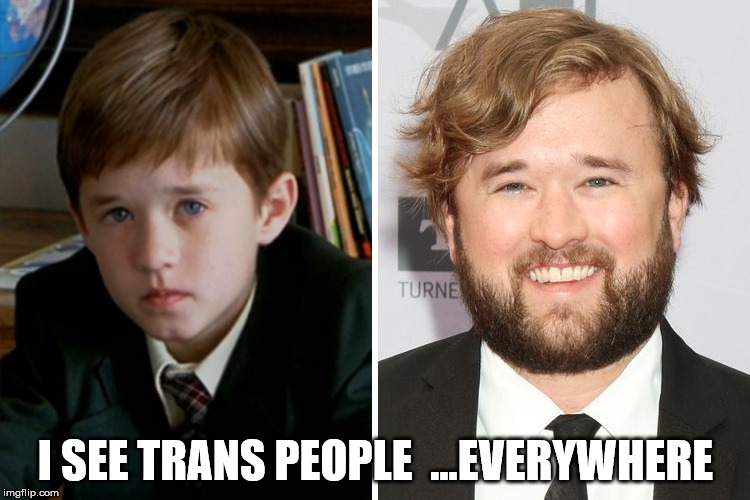 I SEE TRANS PEOPLE  ...EVERYWHERE | image tagged in i see trans people | made w/ Imgflip meme maker